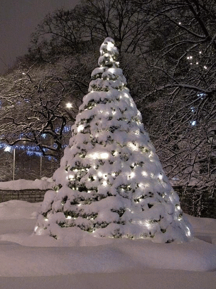 Ελληνικά Χριστουγεννιάτικα έθιμα...